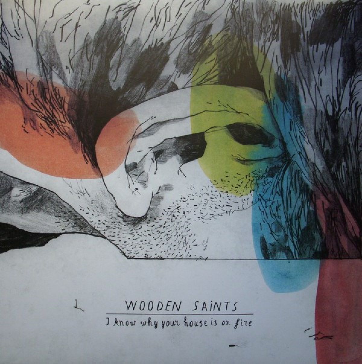 Afbeelding van I Know Why Your House Is On Fire
