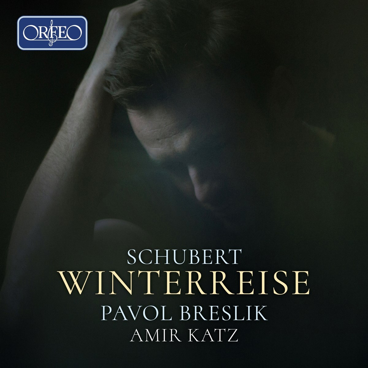 Afbeelding van Pavol Breslik & Amir Katz - Schubert: Winterreise