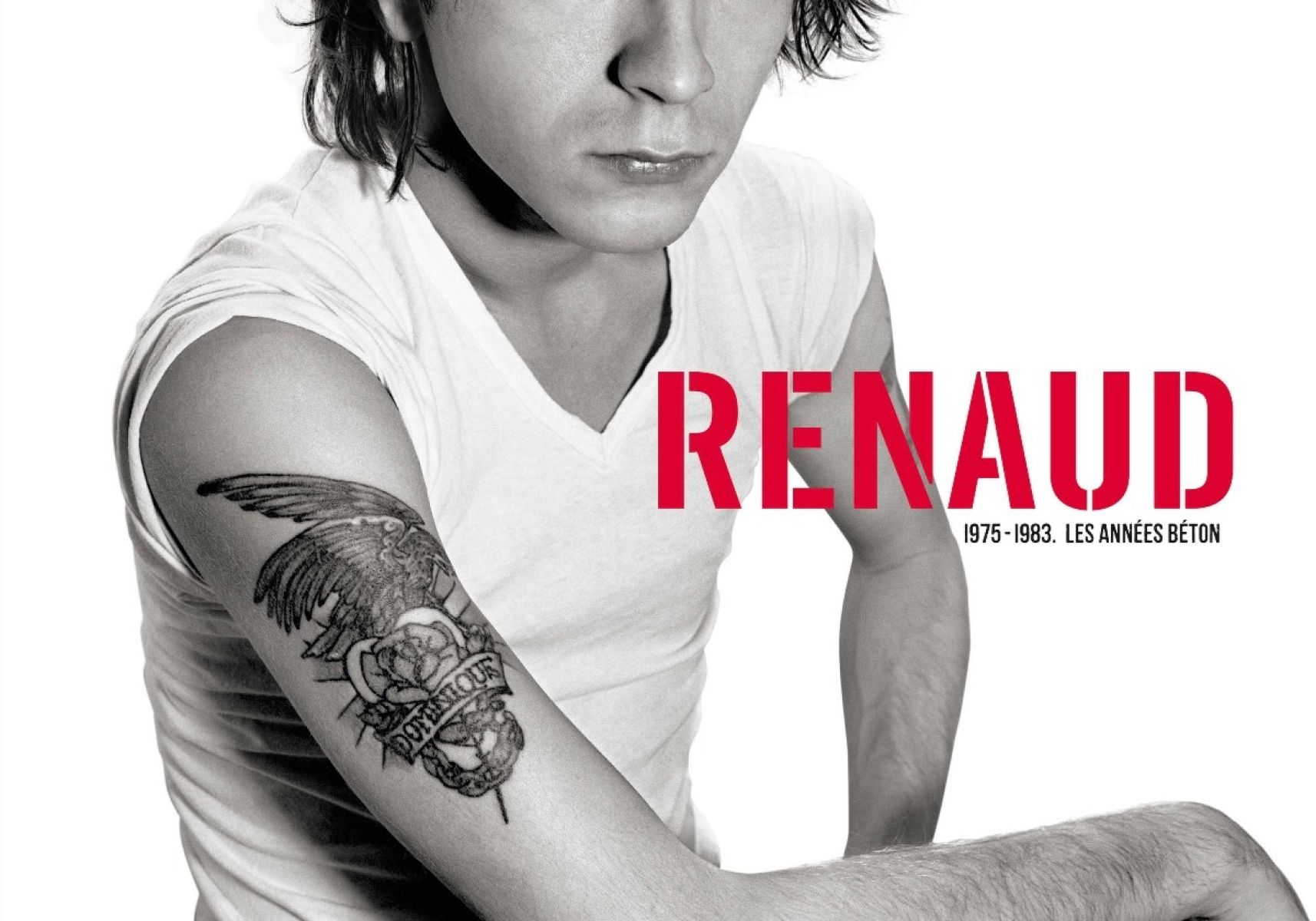 Afbeelding van Integrale Renaud 1975-1983