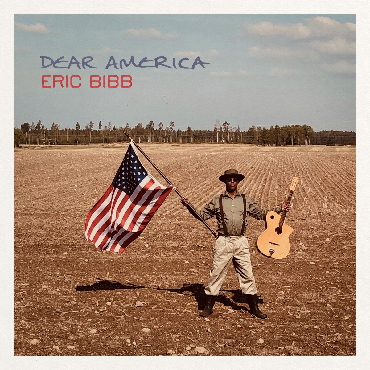 Afbeelding van Dear America