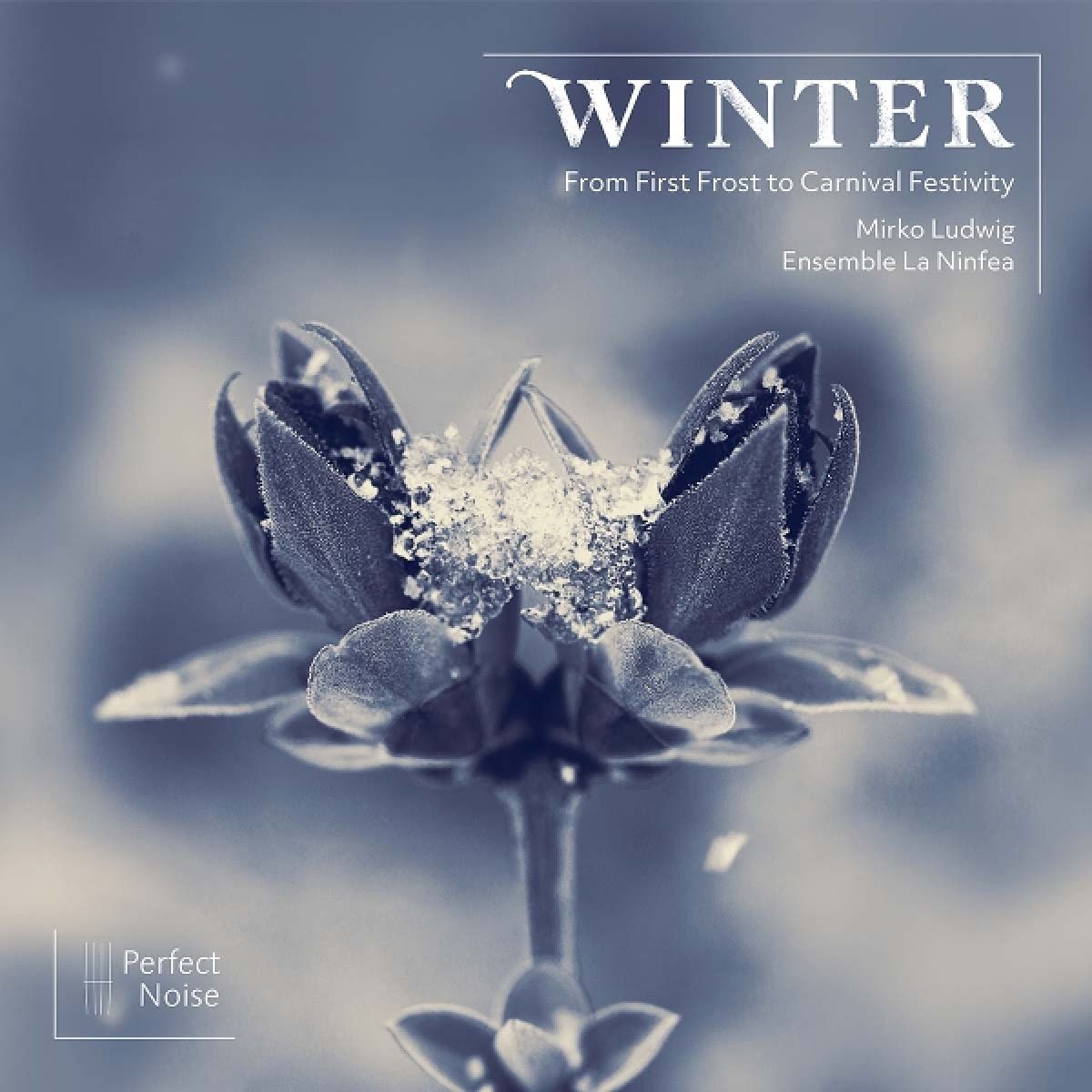 Afbeelding van La Ninfea Ensemble & Mirko Ludwig - Winter: From First Frost To Carnival Festivity