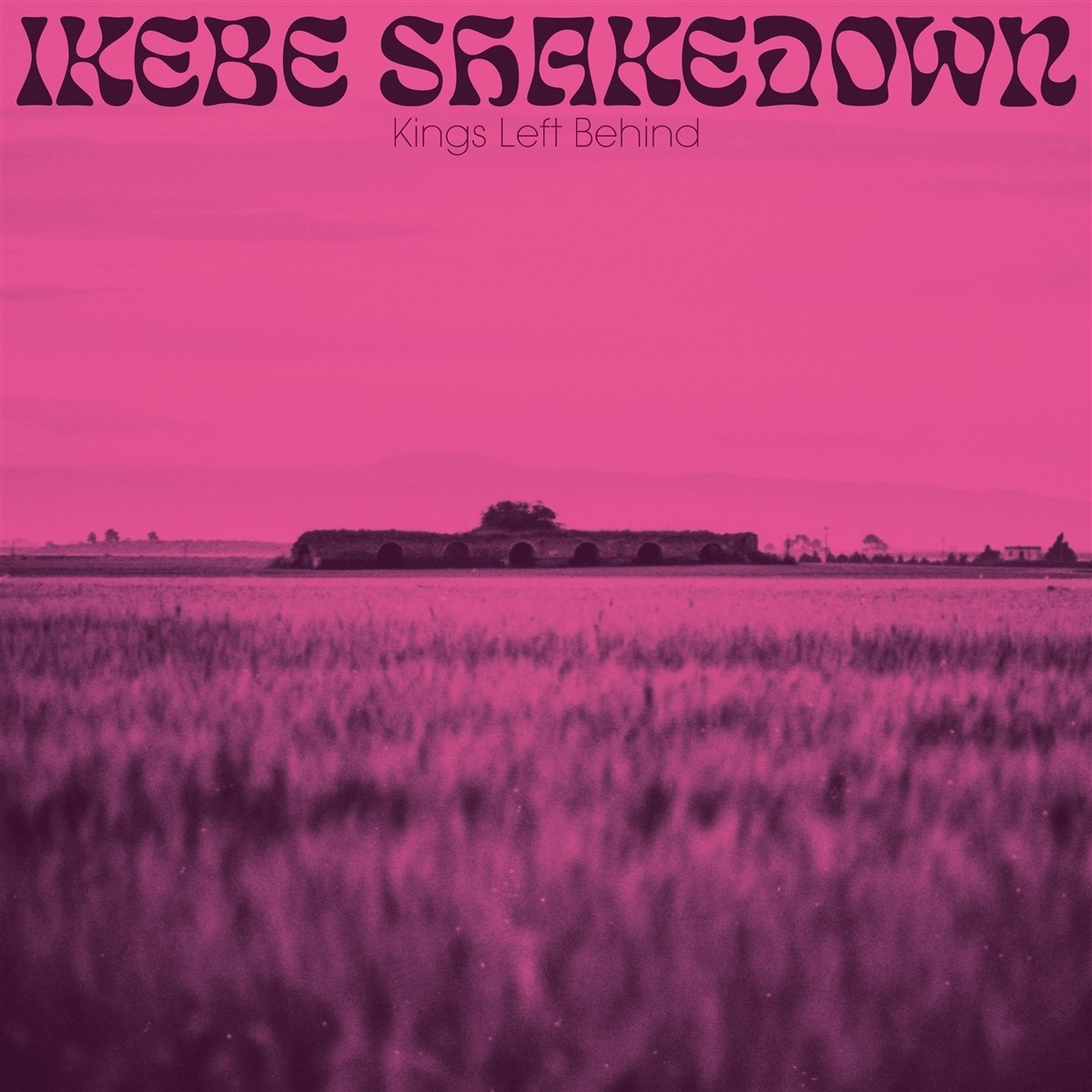Afbeelding van Kings Left Behind