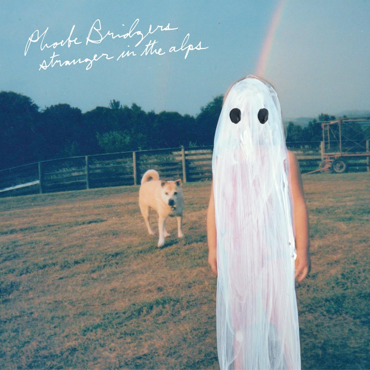 Afbeelding van Phoebe Bridgers - Stranger In The Alps