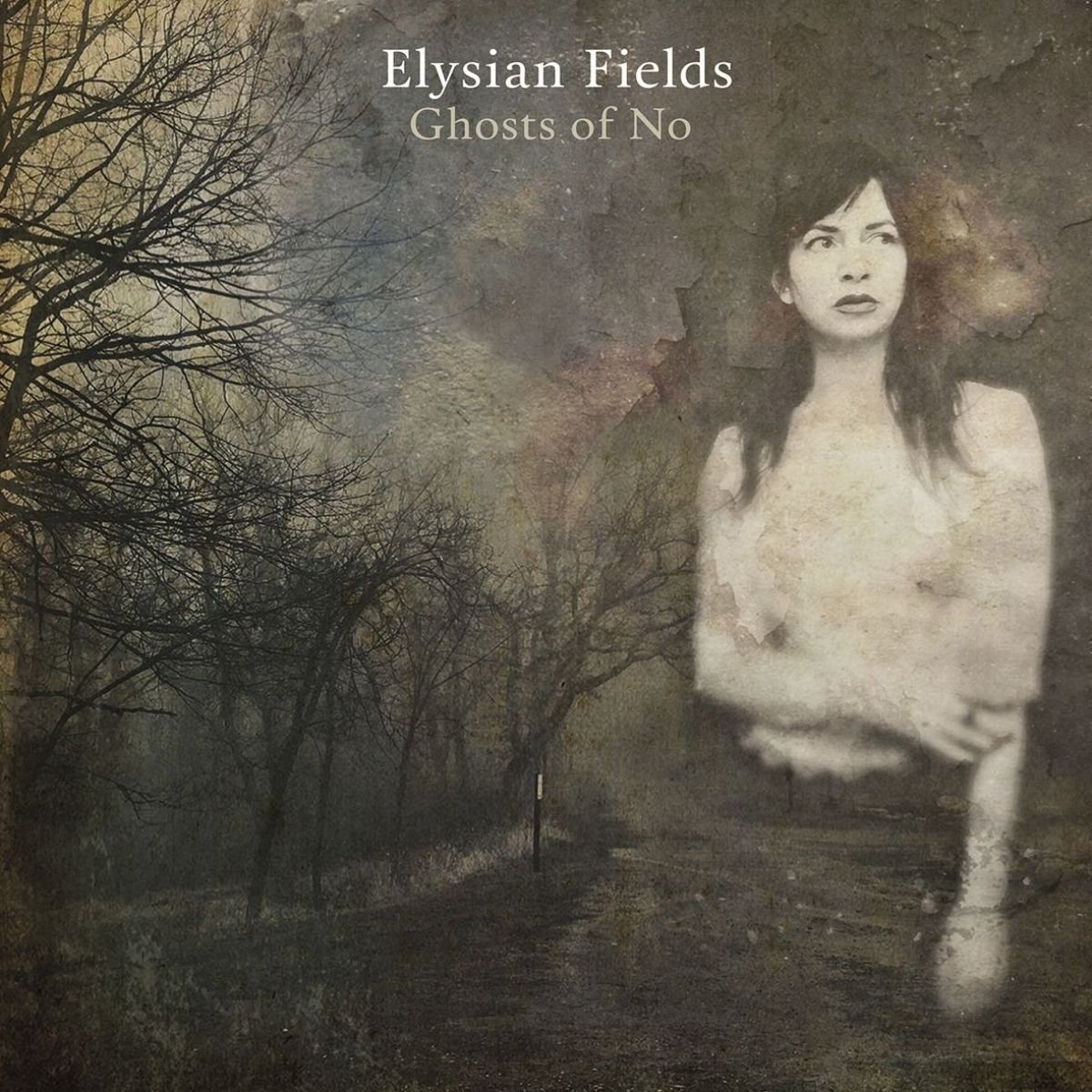 Afbeelding van Elysian Fields - Ghosts of No