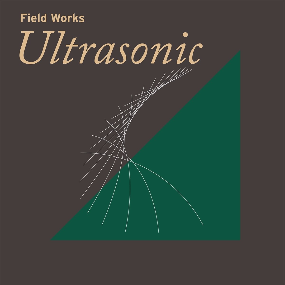 Afbeelding van Field Works: Ultrasonic