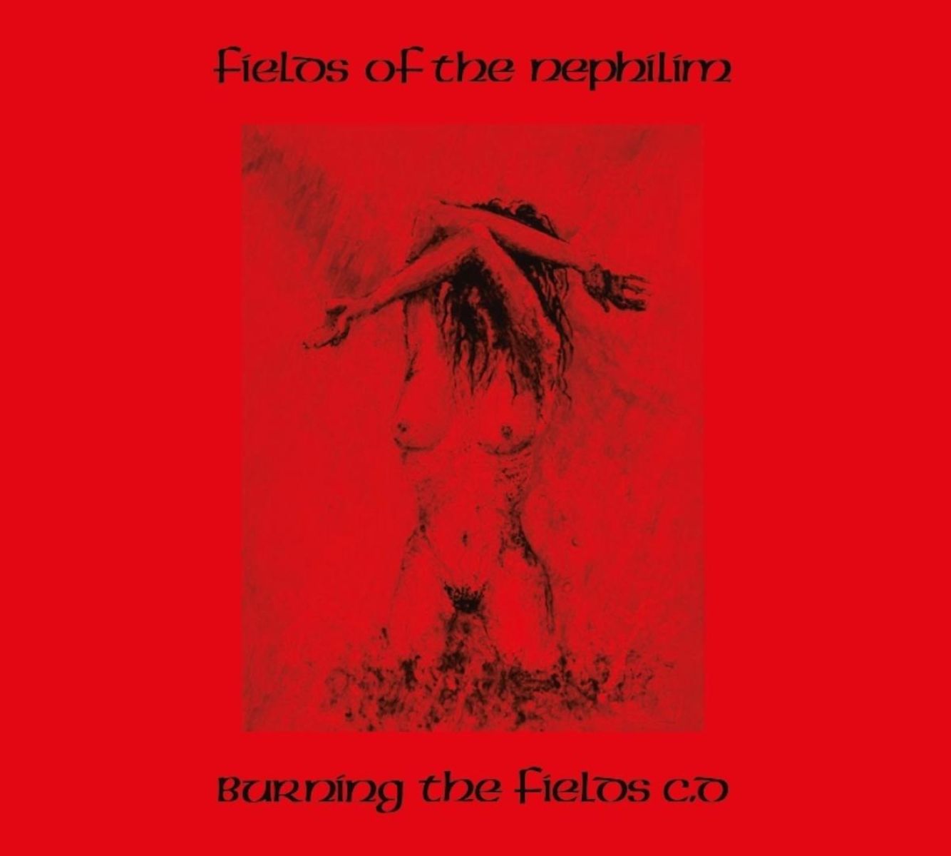 Afbeelding van Fields Of The Nephilim - Burning The Fields