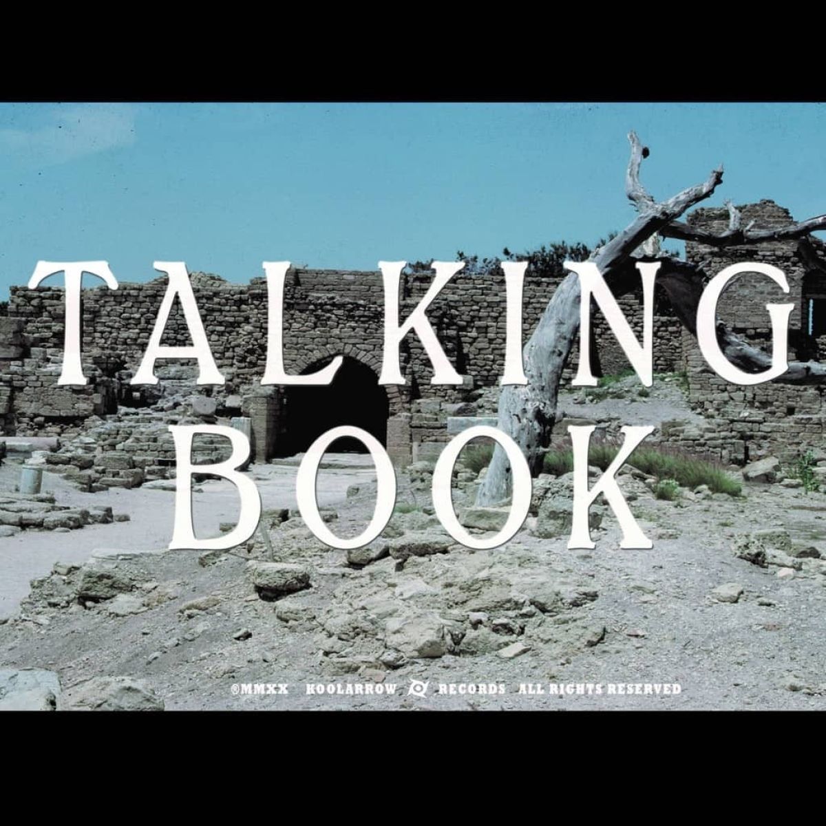 Afbeelding van Talking Book Ii