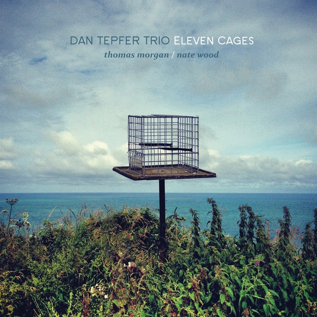 Afbeelding van Dan Tepfer Trio - Eleven Cages