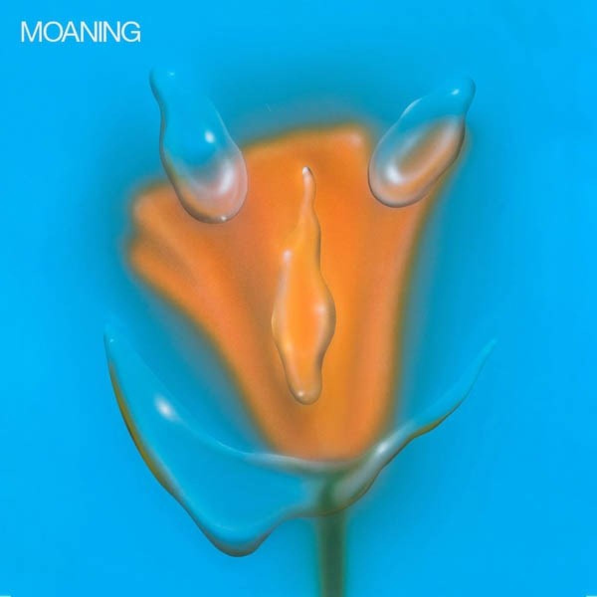 Afbeelding van Moaning - Uneasy Laughter