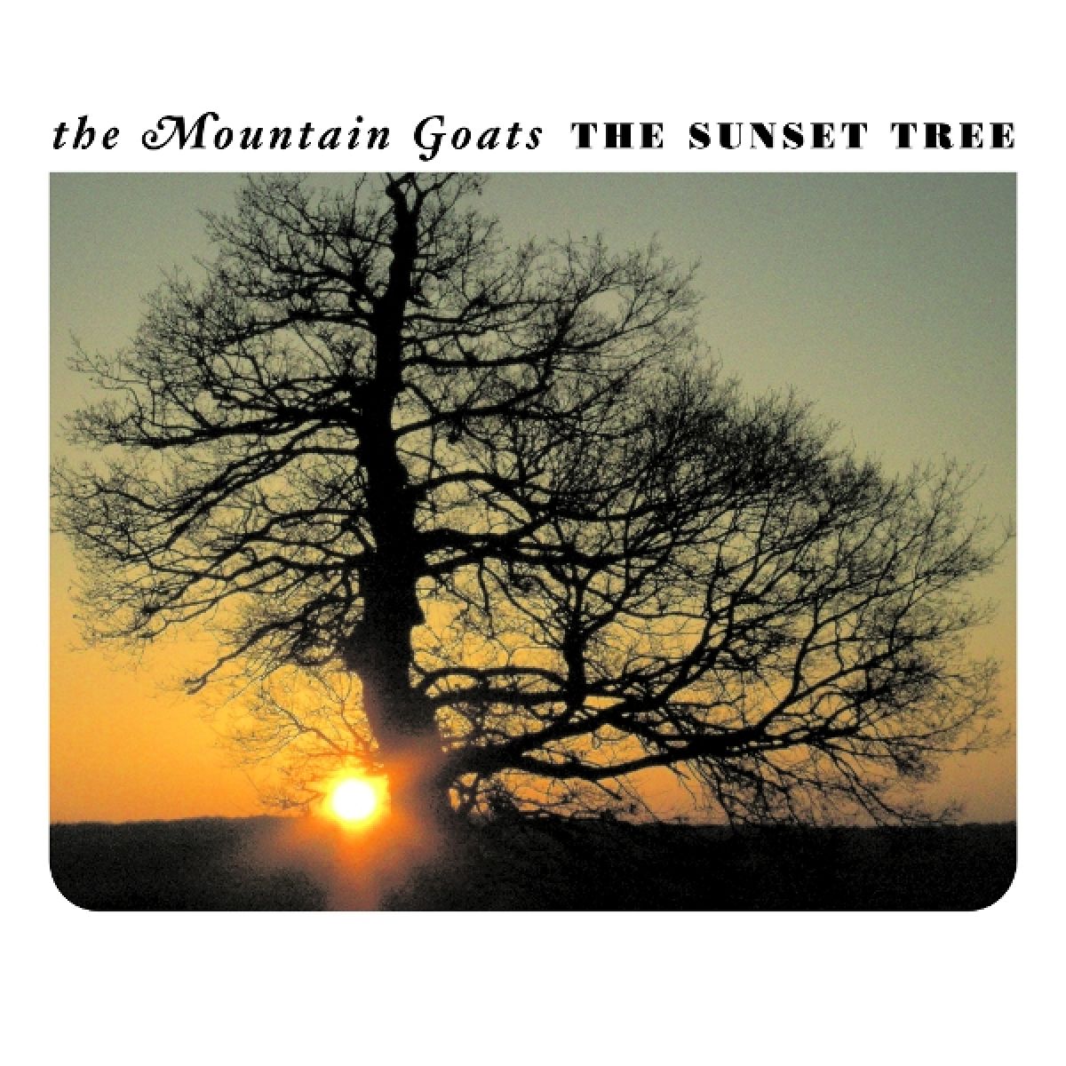 Afbeelding van The Mountain Goats - The Sunset Tree
