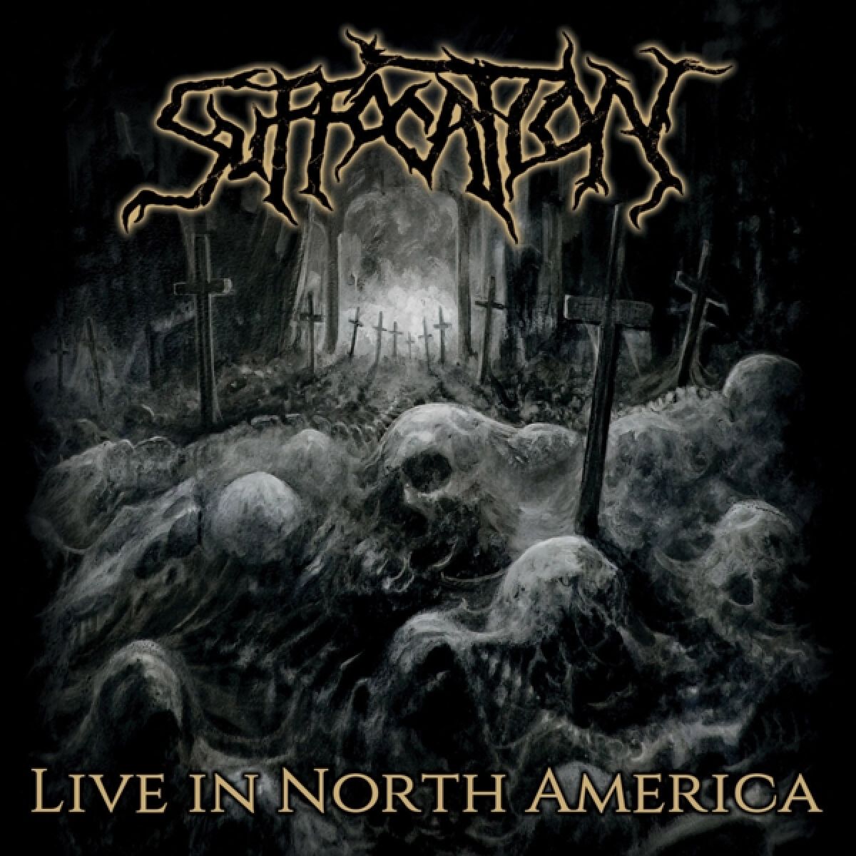 Afbeelding van Live In North America
