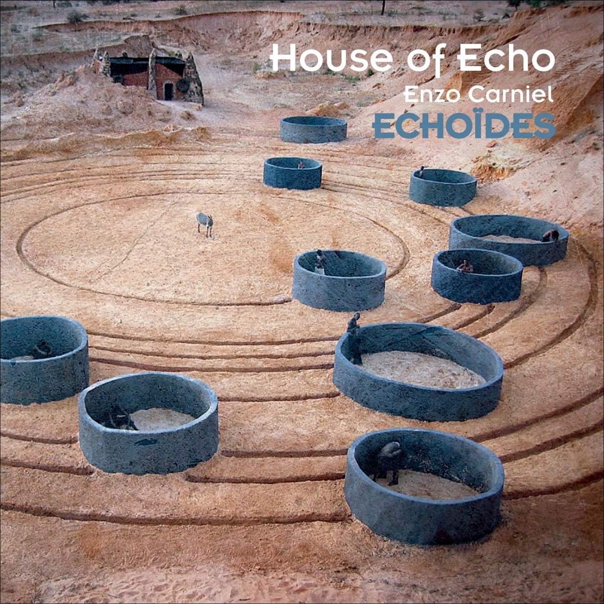 Afbeelding van House Of Echo & Enzo Carniel - Echoïdes