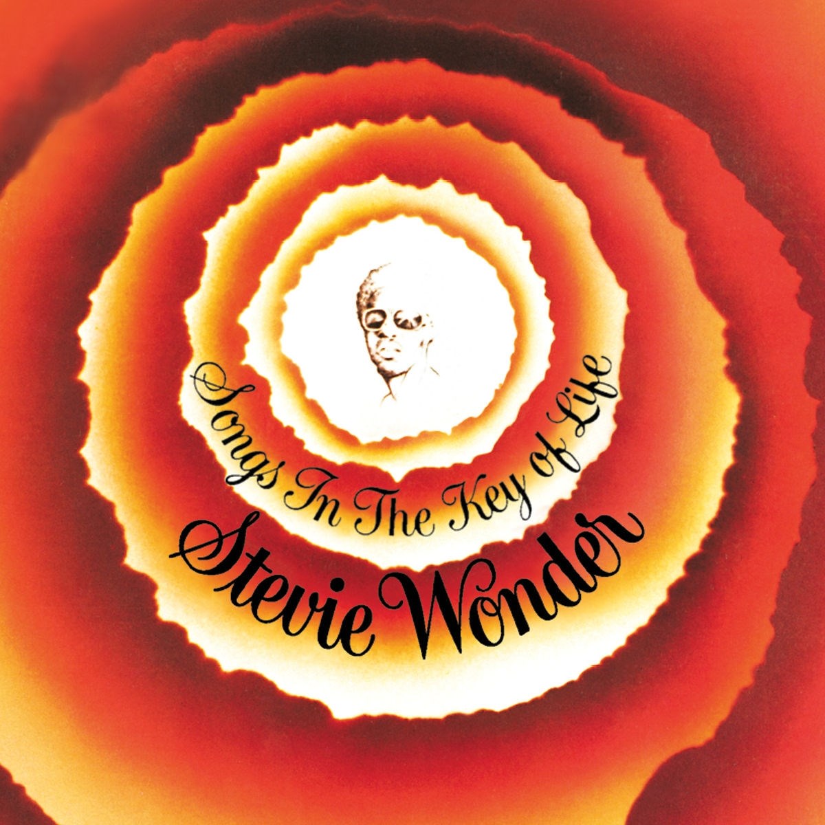 Afbeelding van Stevie Wonder - Songs In The Key Of Life