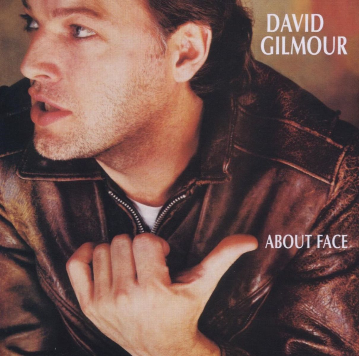 Afbeelding van David Gilmour - About Face