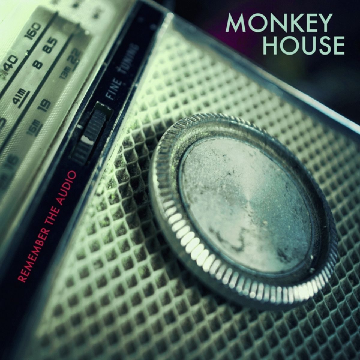 Afbeelding van Monkey House - Remember The Audio