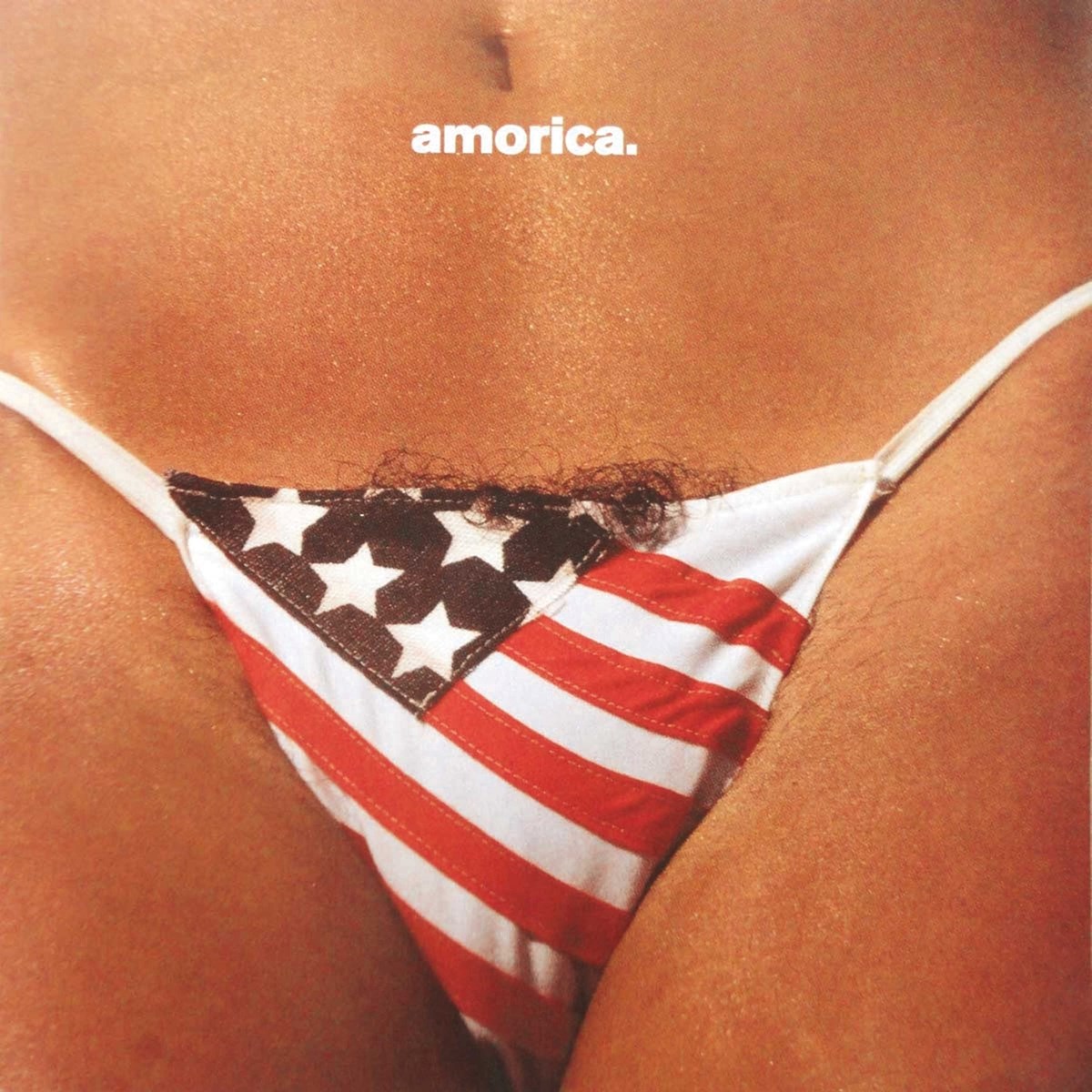 Afbeelding van Black Crowes - Amorica