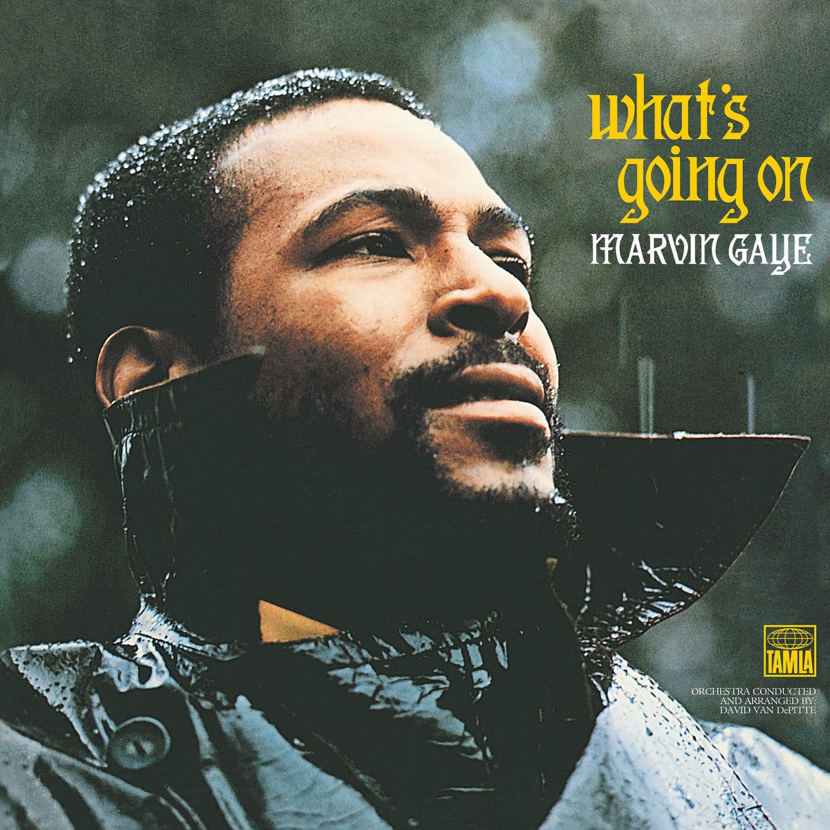 Afbeelding van Marvin Gaye - What's Going On
