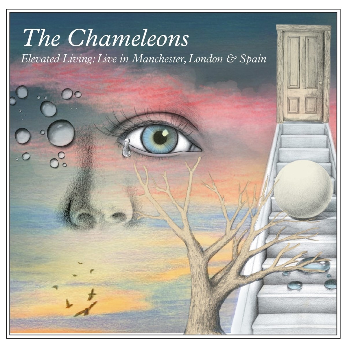 Afbeelding van The Chameleons - Elevated Living: Live In Manchester, London And Spain