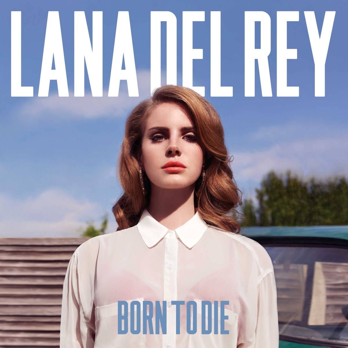 Afbeelding van Lana Del Rey - Born To Die