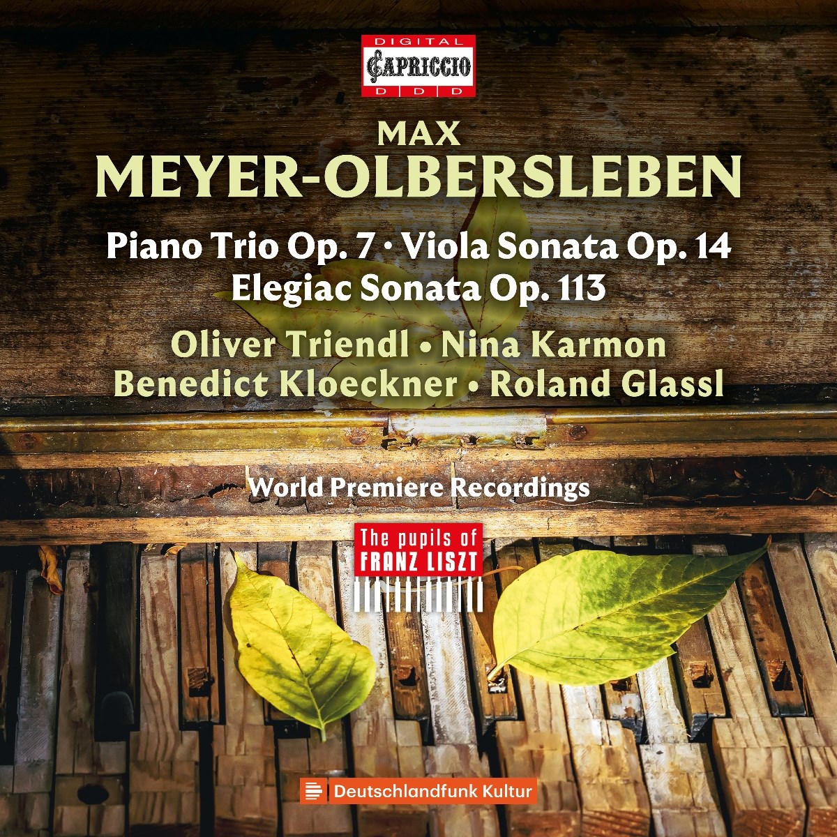 Afbeelding van Oliver Triendl, Nina Karmon, Robert Glassl, Benedict Kloeckner - Meywr-Aldersleben: Chamber Music