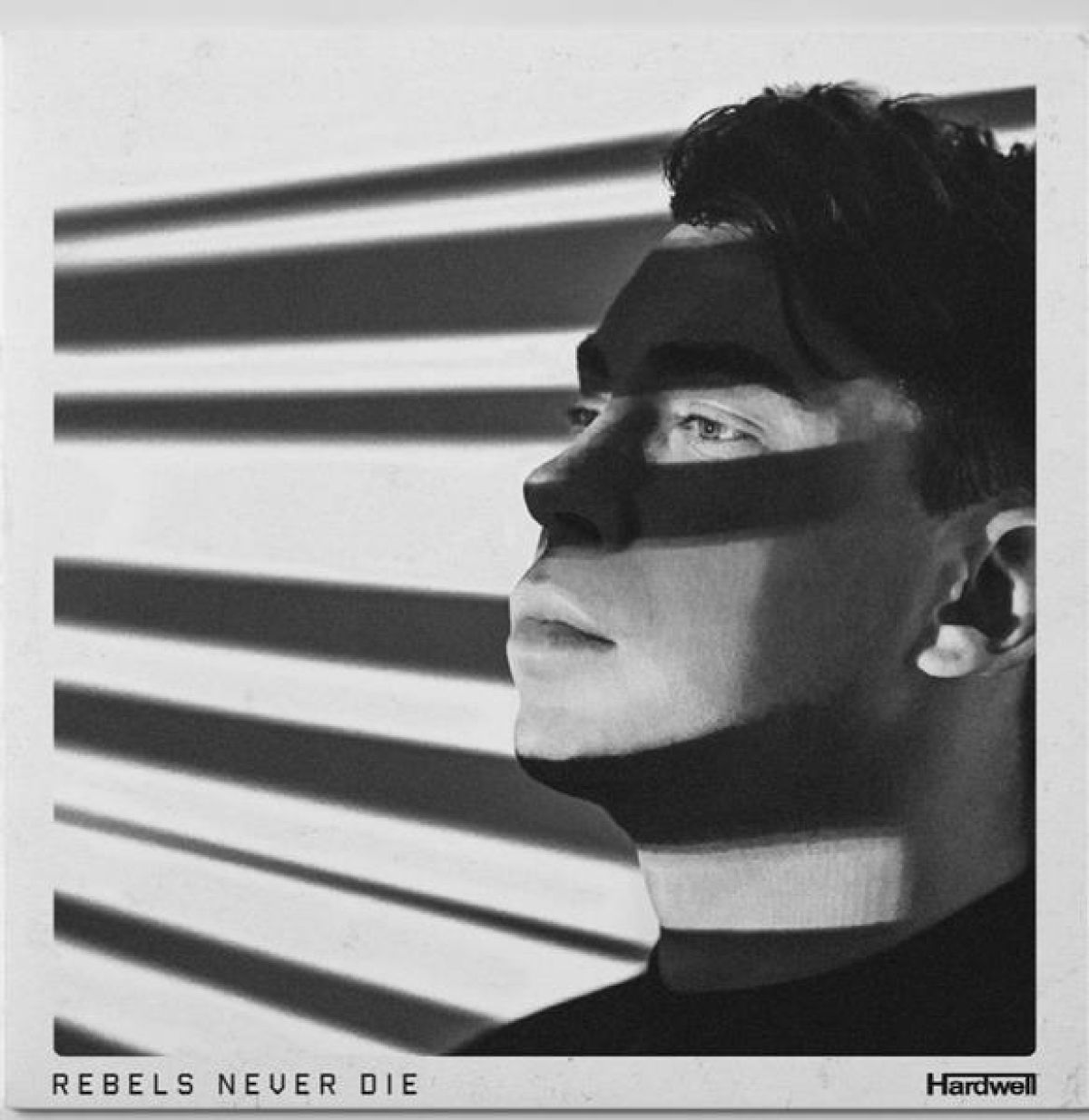 Afbeelding van Hardwell - Rebels Never Die