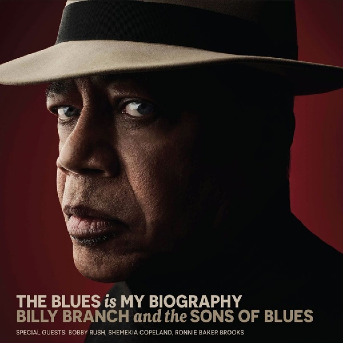 Afbeelding van The Blues Is My Biography