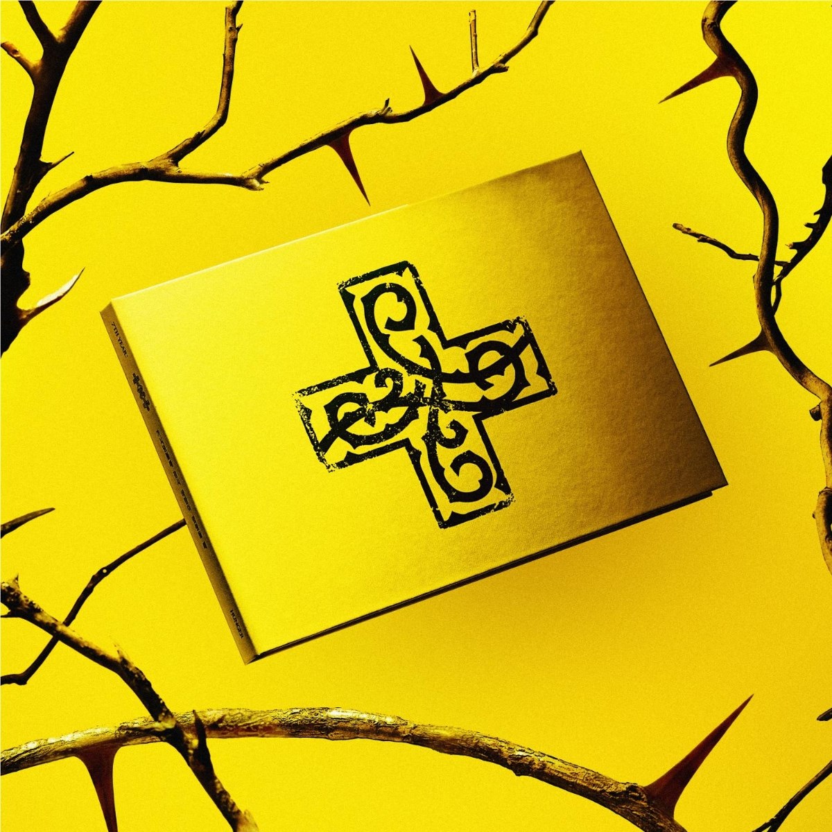 Afbeelding van Tomorrow X Together - 7th Year: A Moment Of Stillness In The Thorns