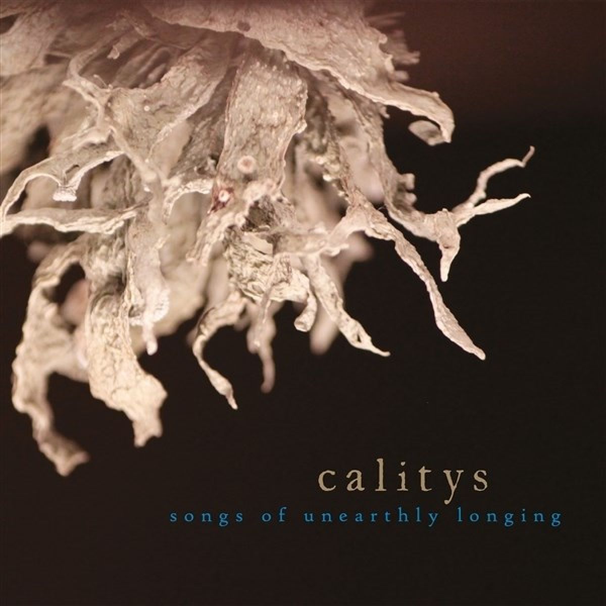 Afbeelding van Calitys - Songs Of Unearthly Longing