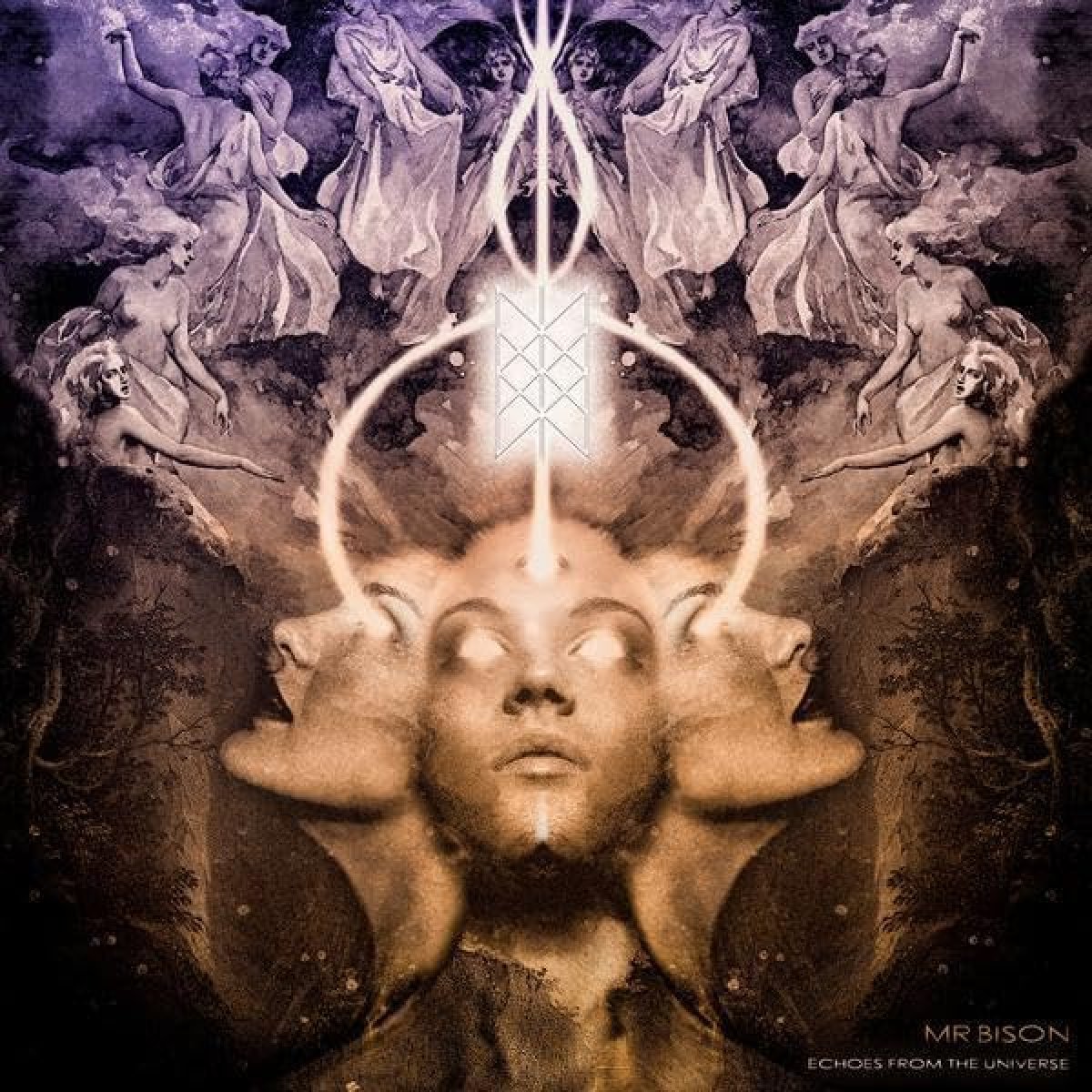 Afbeelding van Echoes From The Universe