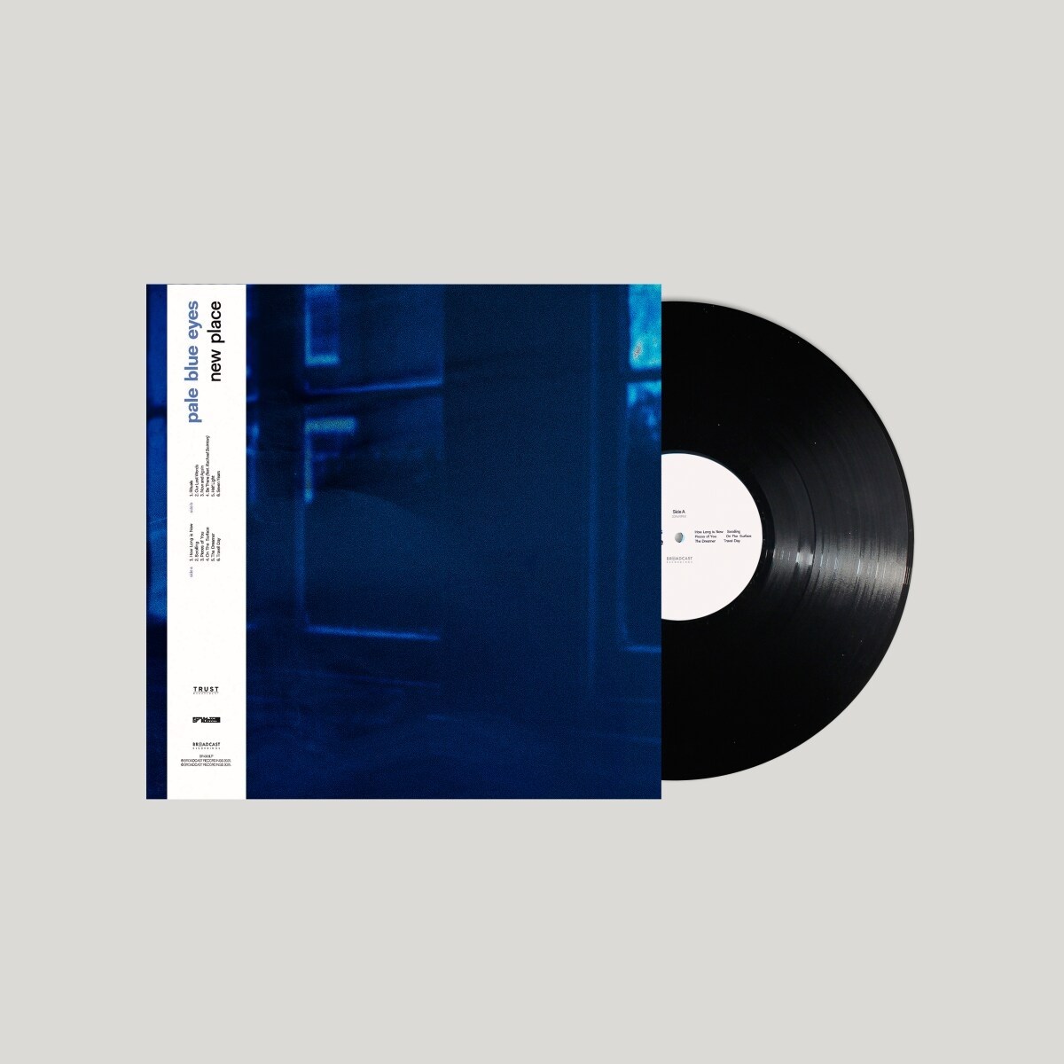 Afbeelding van Pale Blue Eyes - New Place