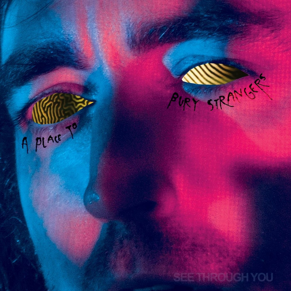 Afbeelding van A Place To Bury Strangers - See Through You