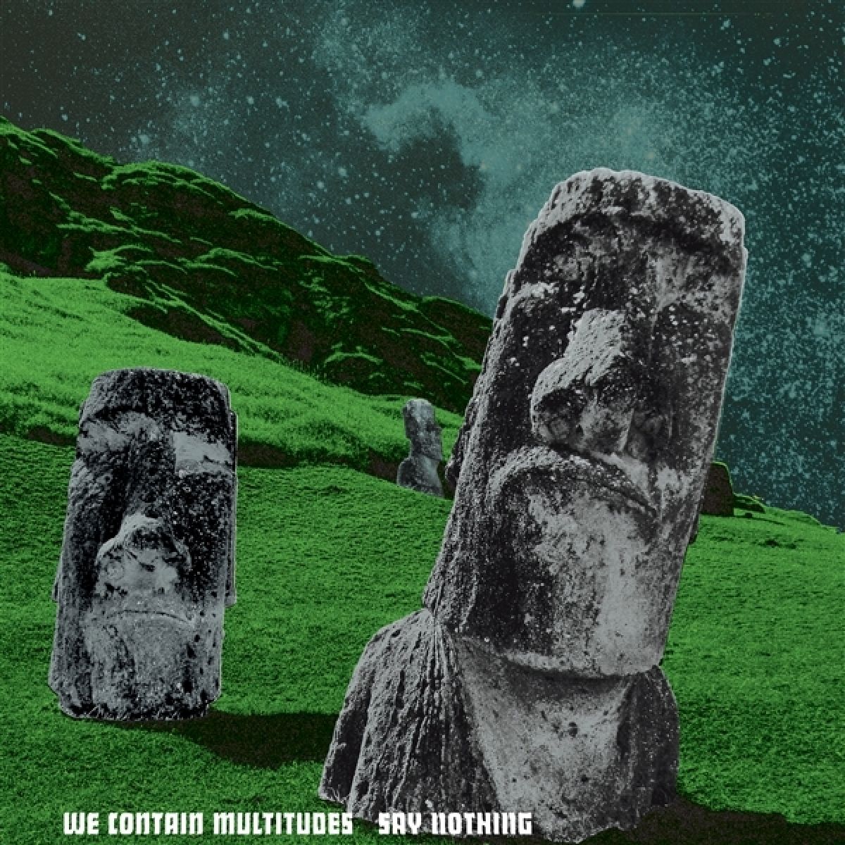 Afbeelding van We Contain Multitudes - Say Nothing