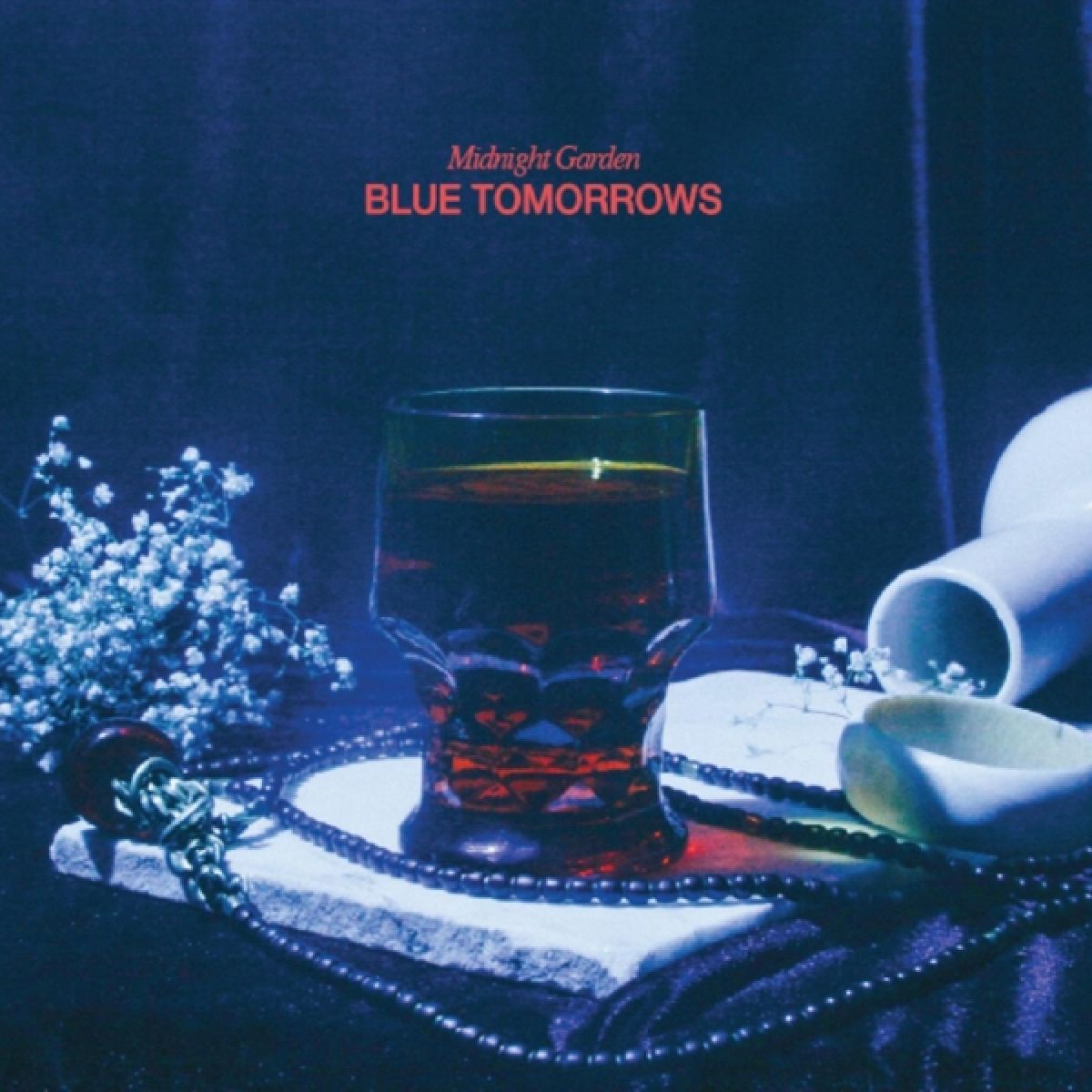 Afbeelding van Blue Tomorrows