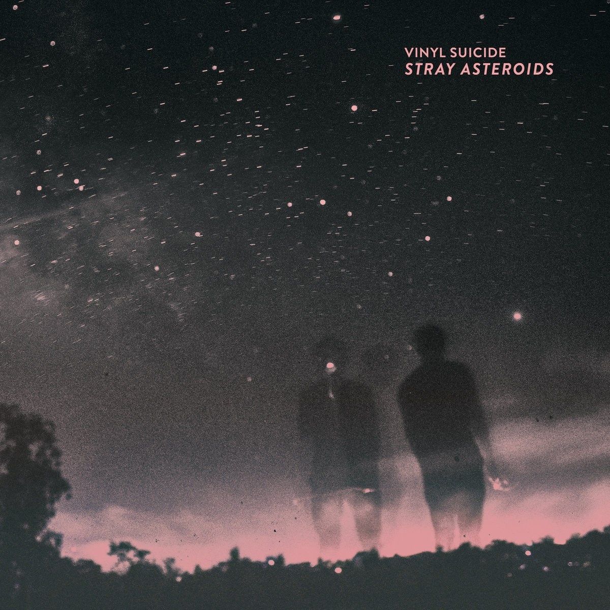 Afbeelding van Vinyl Suicide - Stray Asteroids