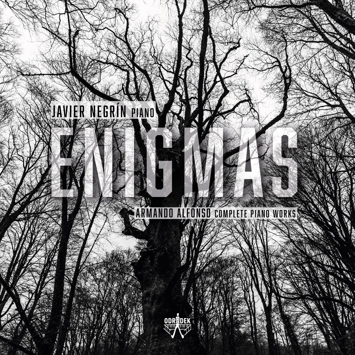 Javier Negrin - Enigmas
