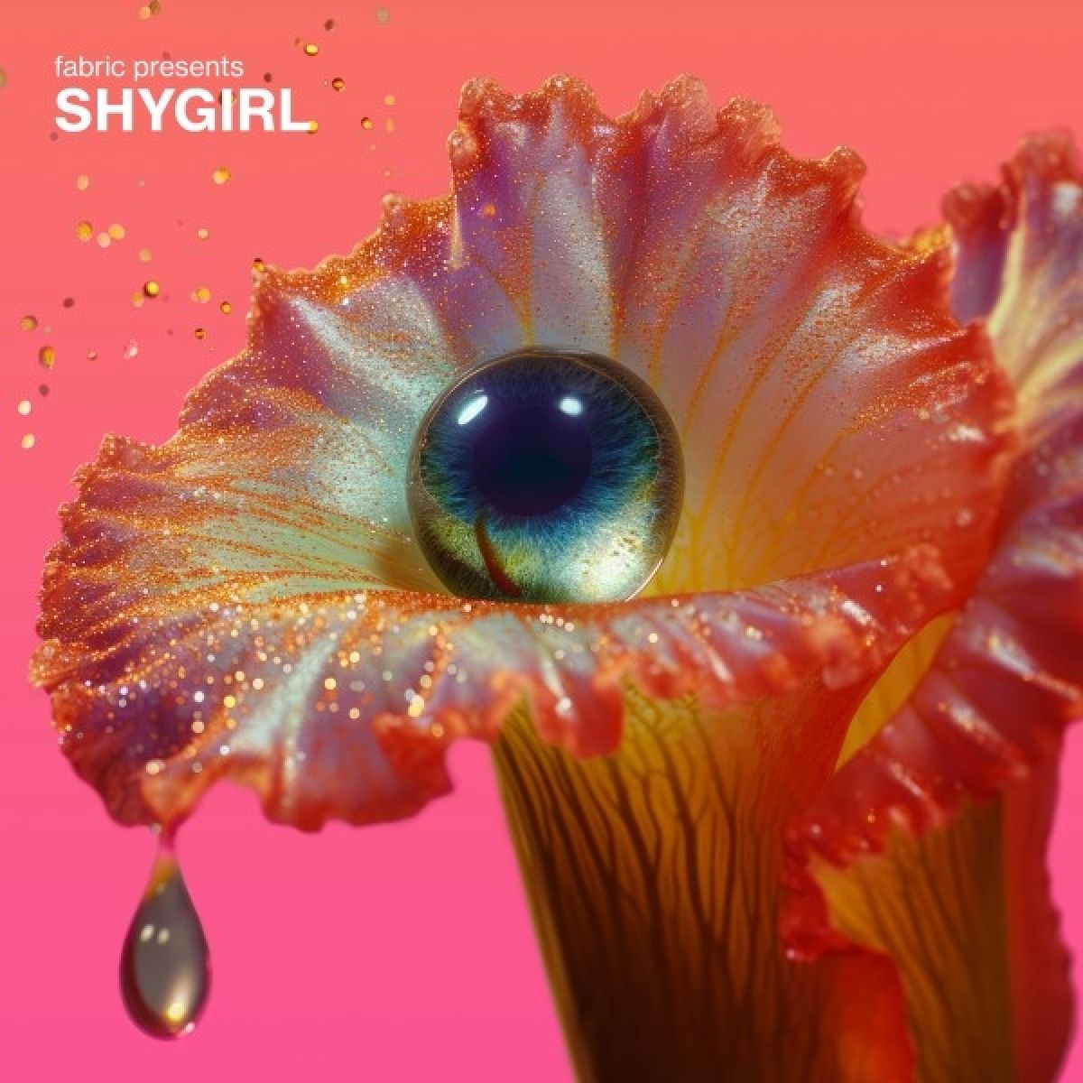 Afbeelding van Shygirl - Fabric Presents Shygirl