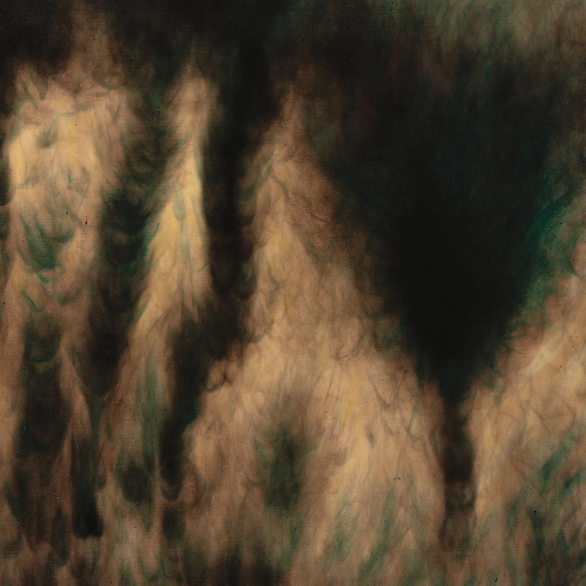 Afbeelding van William Basinski - Lamentations
