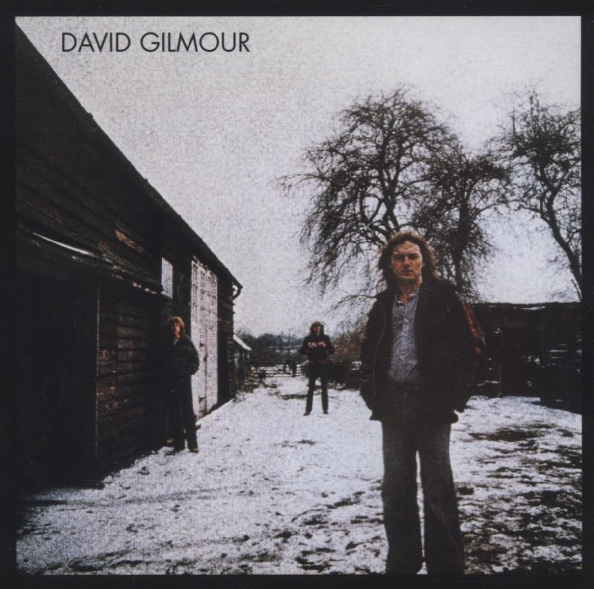 Afbeelding van David Gilmour - David Gilmour