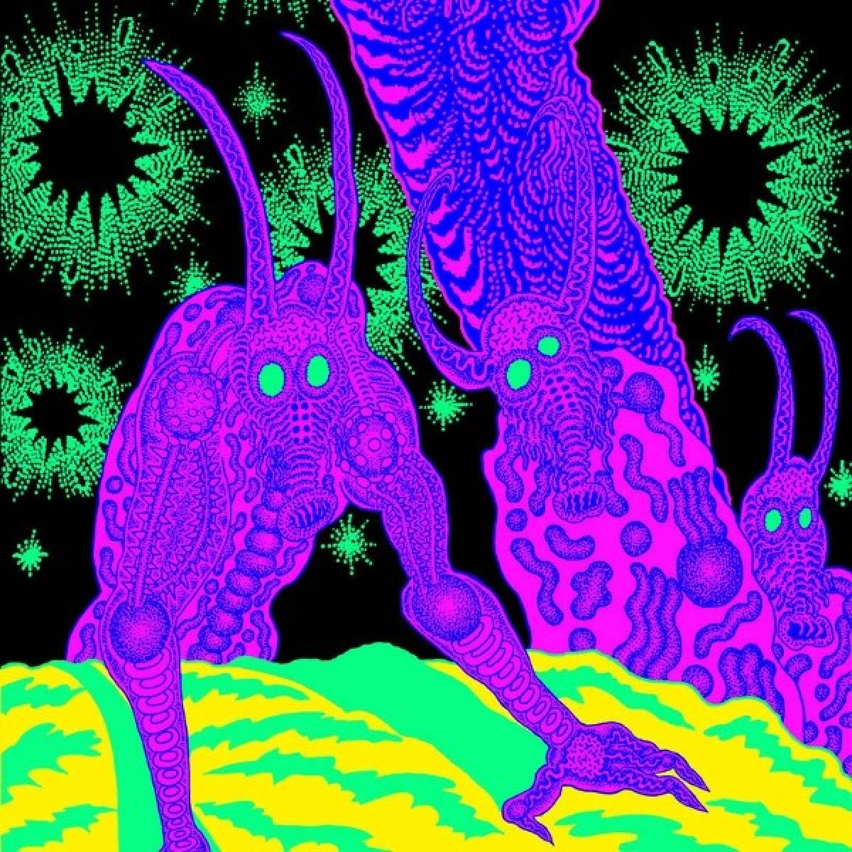 Afbeelding van Osees - Abomination Revealed At Last