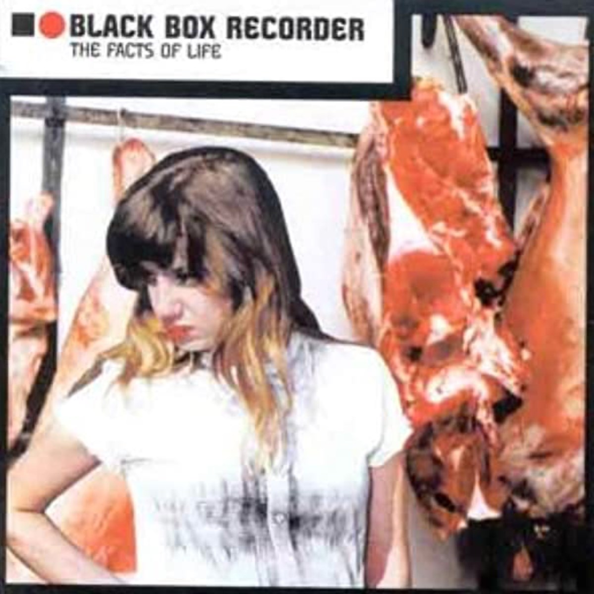 Black Box Recorder - The Facts Of Life