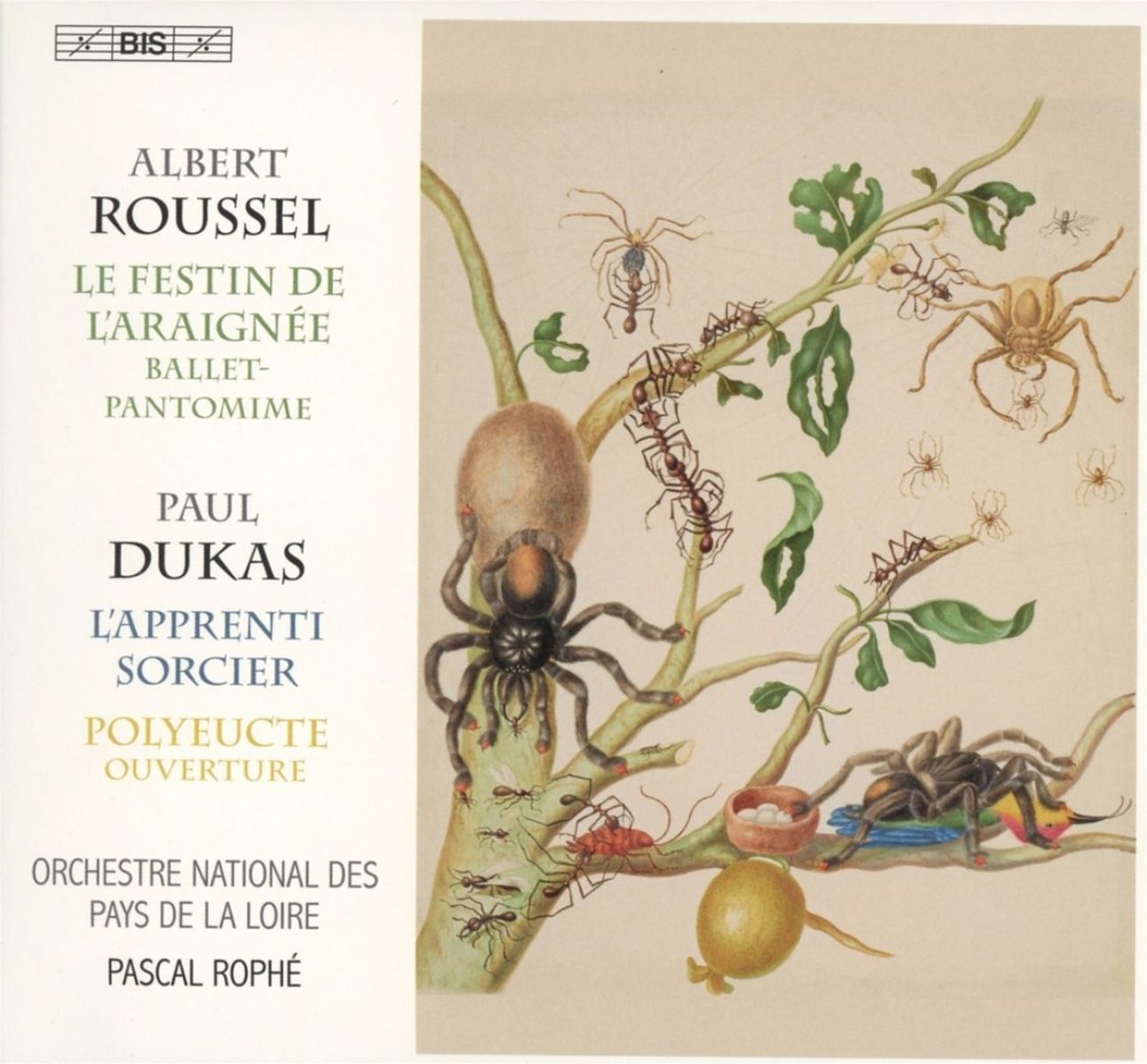 Afbeelding van Orchestre National Des Pays De La Loire, Pascal Rophé - Roussel: The Sorcerer's Apprentice & The Spider's Feast