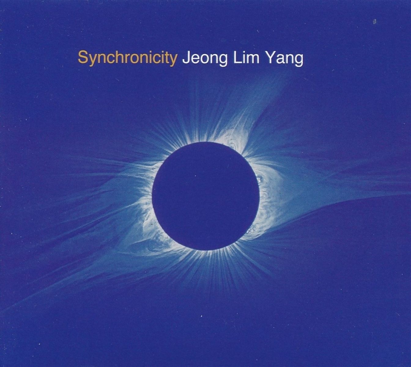 Afbeelding van Jeon Lim Yang - Synchronicity