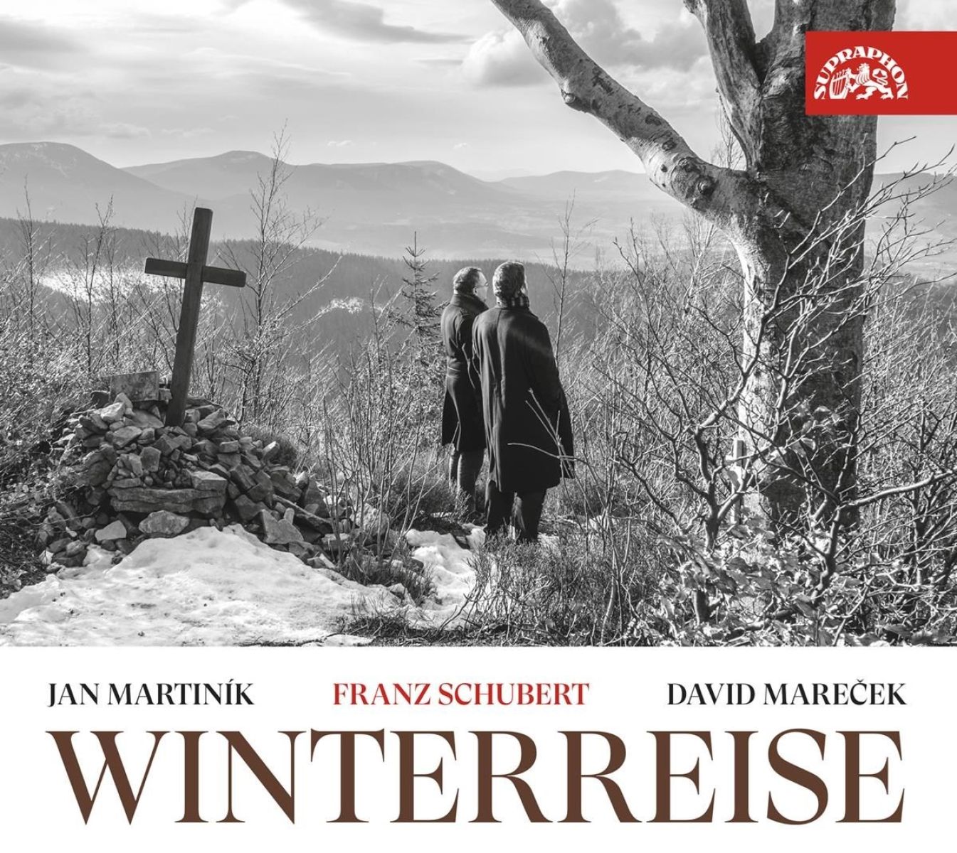 Afbeelding van Schubert: Winterreise