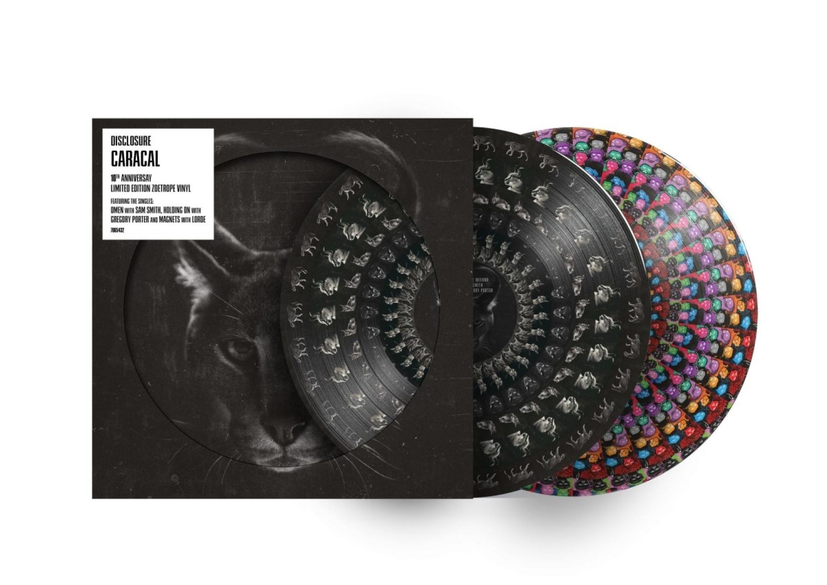 Afbeelding van Disclosure - Caracal