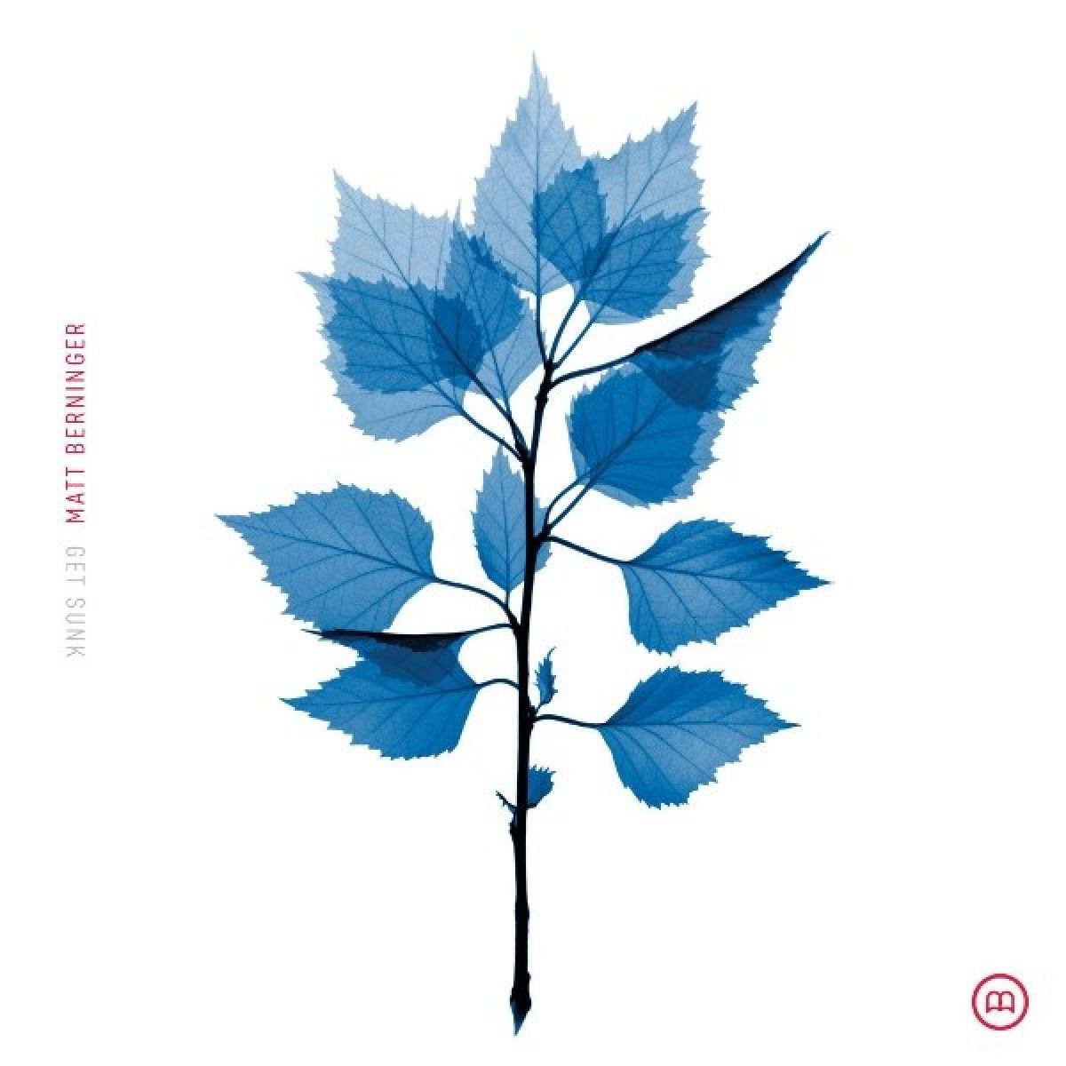 Afbeelding van Matt Berninger - Get Sunk