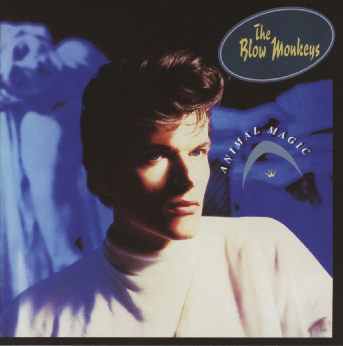 Afbeelding van The Blow Monkeys - Animal Magic
