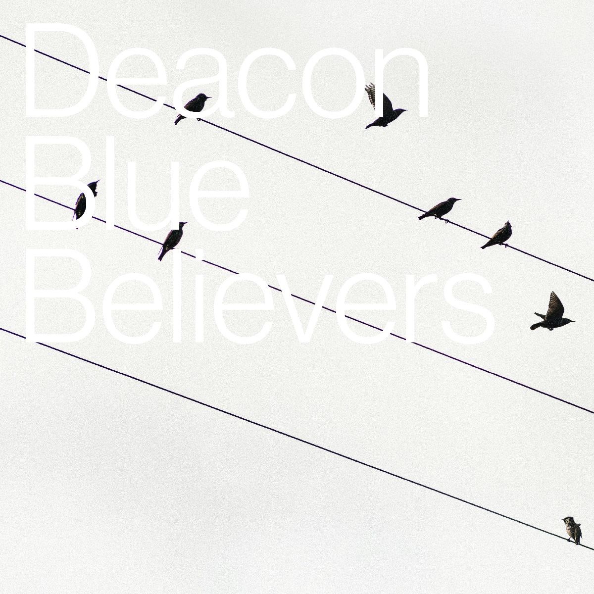 Afbeelding van Deacon Blue - Believers