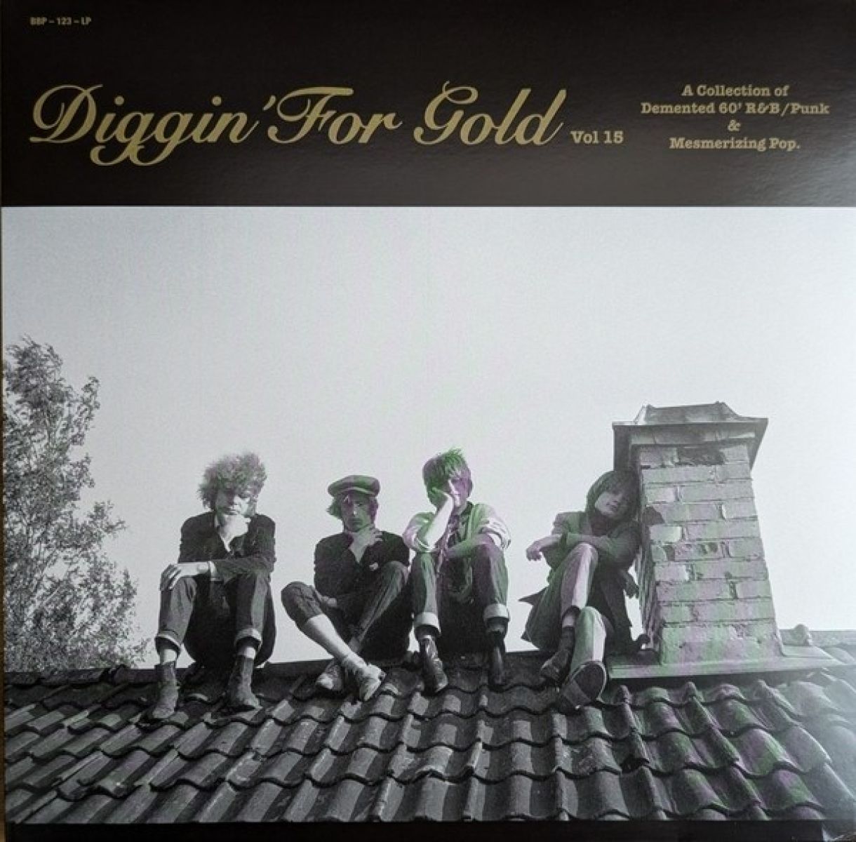 Afbeelding van Various Artists - Diggin' For Gold, Vol. 15
