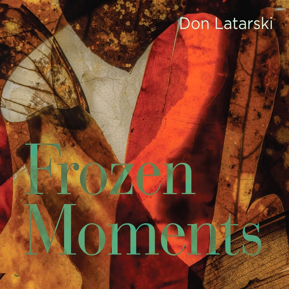 Afbeelding van Frozen Moments