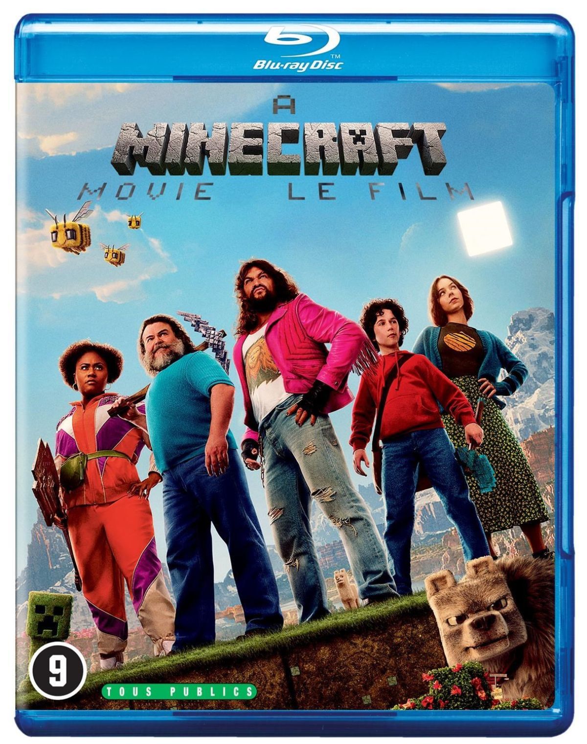Afbeelding van A Minecraft Movie